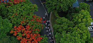 腾博汇游戏官网·(中国)专业服务,诚信为本