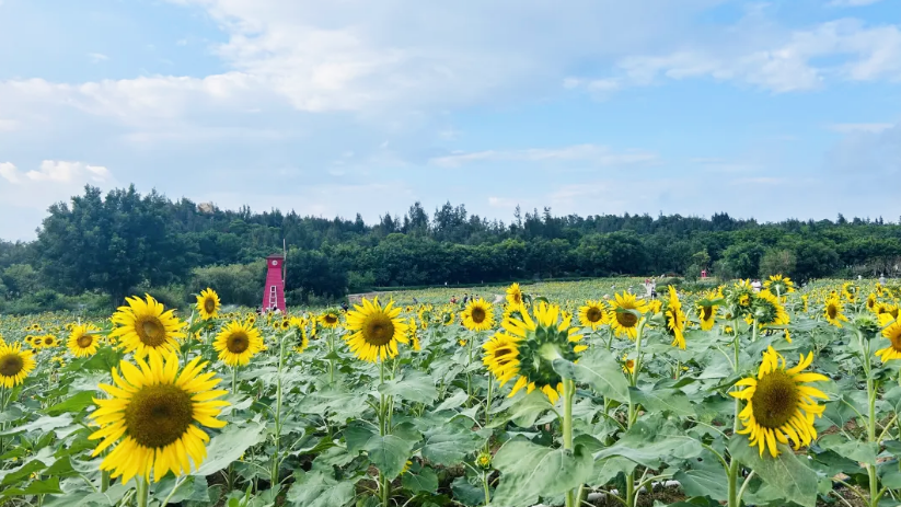 腾博汇游戏官网·(中国)专业服务,诚信为本