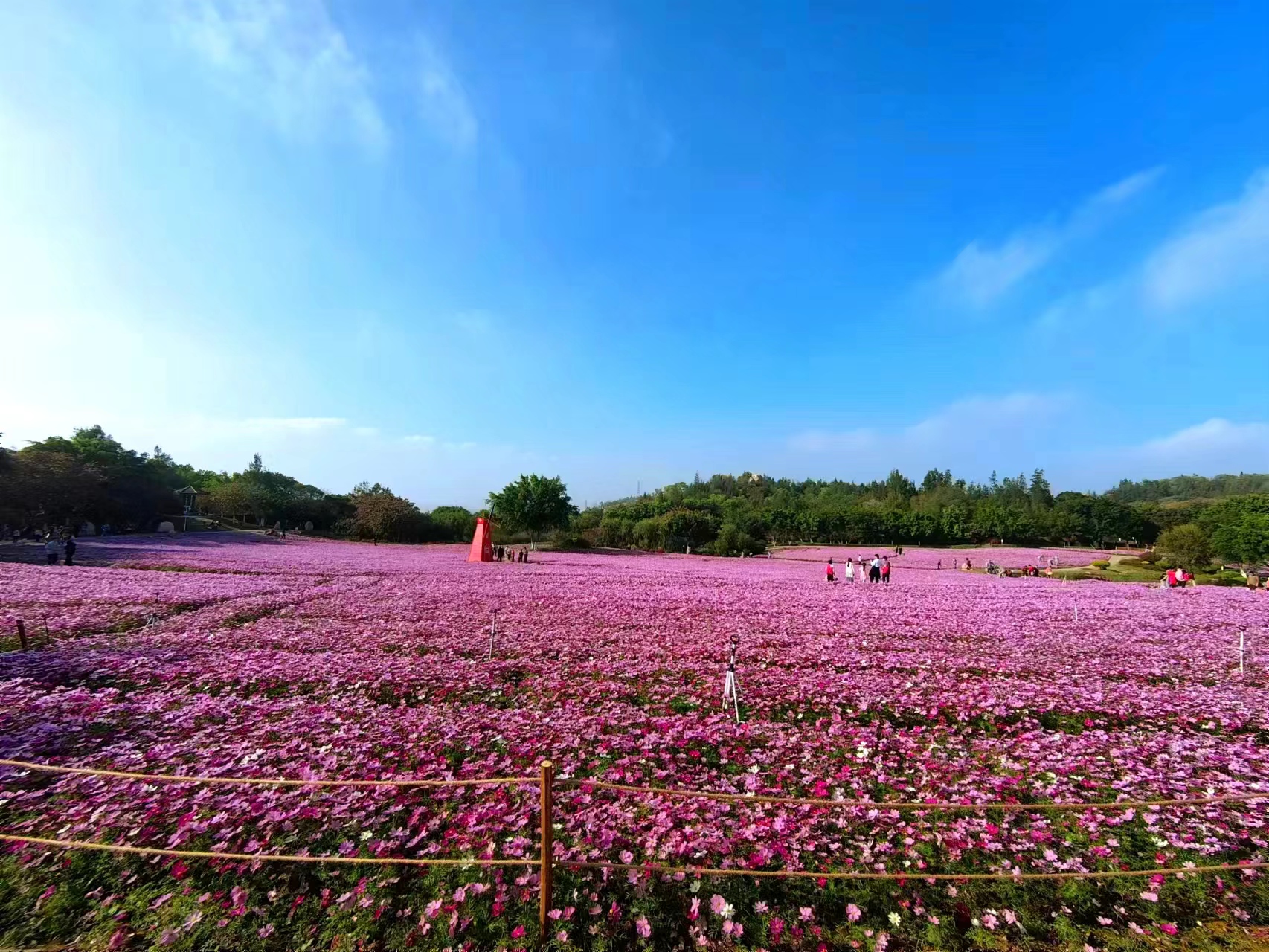 腾博汇游戏官网·(中国)专业服务,诚信为本